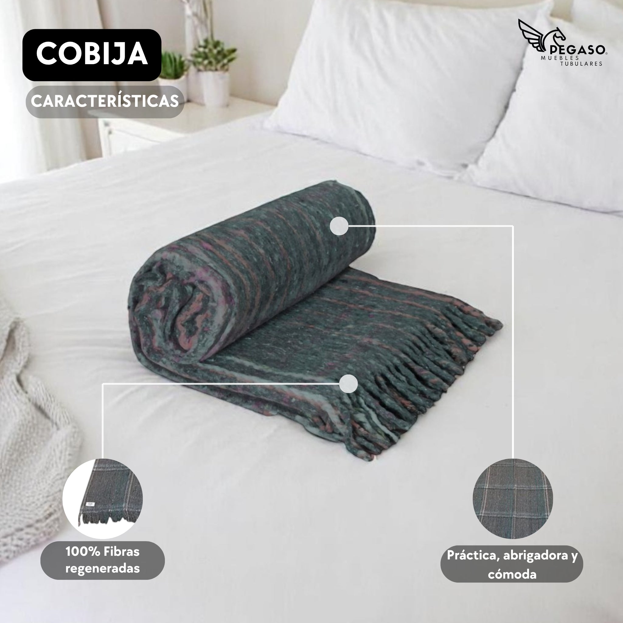 Cobija / Catrera