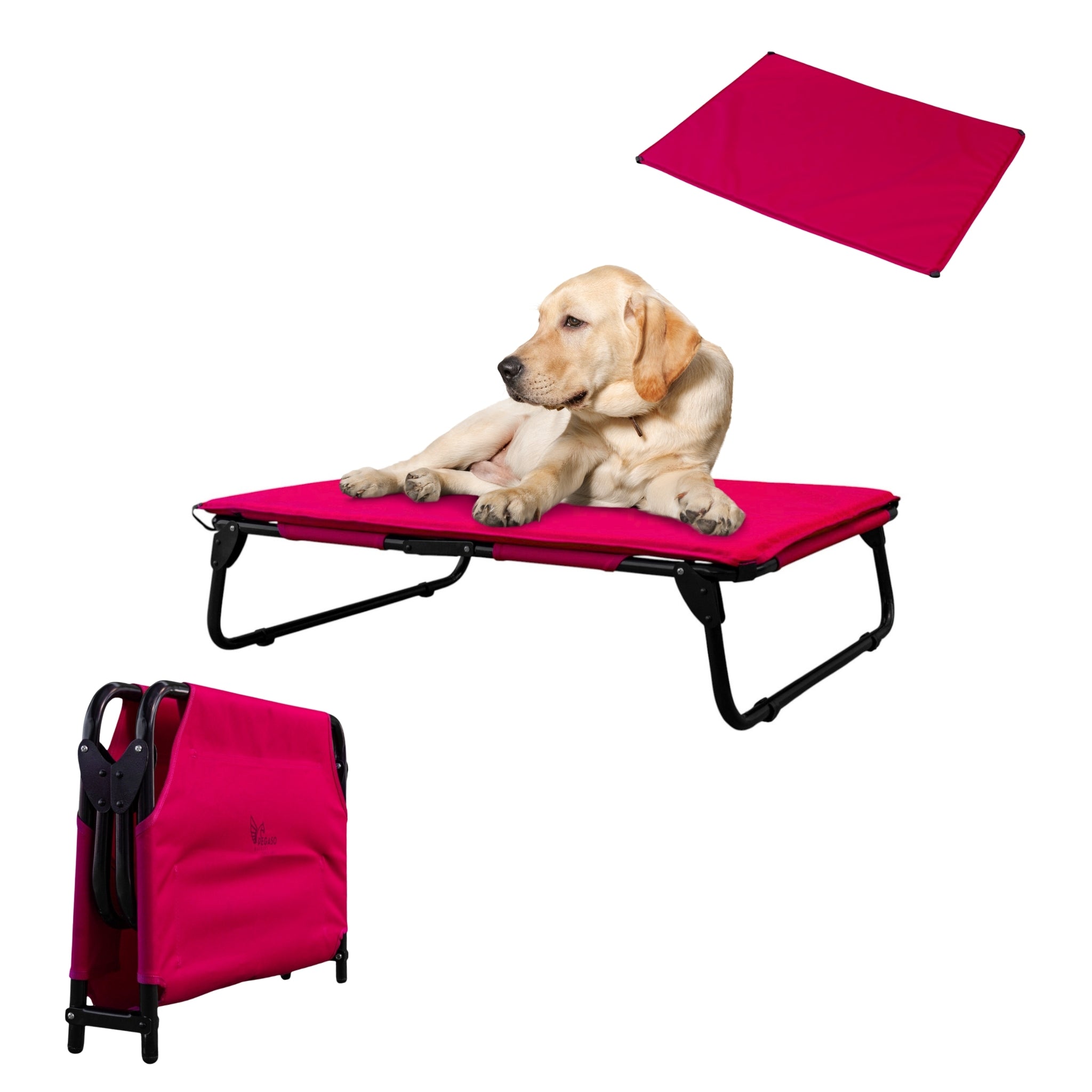PEGASO KIT Cama/Catre + Colchoneta para Perro tamaño Grande, 92.5 x 75 x 18 cm (Mod KM-GD)