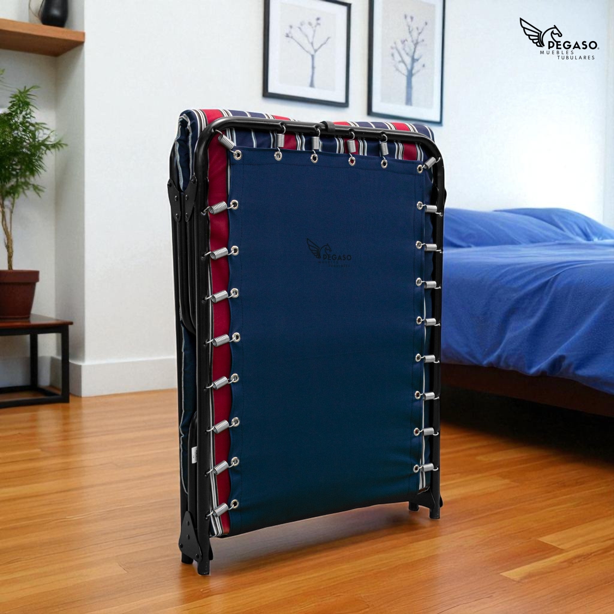 Folding Cot Bed / Reinforced Canvas + 3 cm Foam Mattress