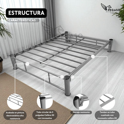 Base Matrimonial Pegaso – Practica