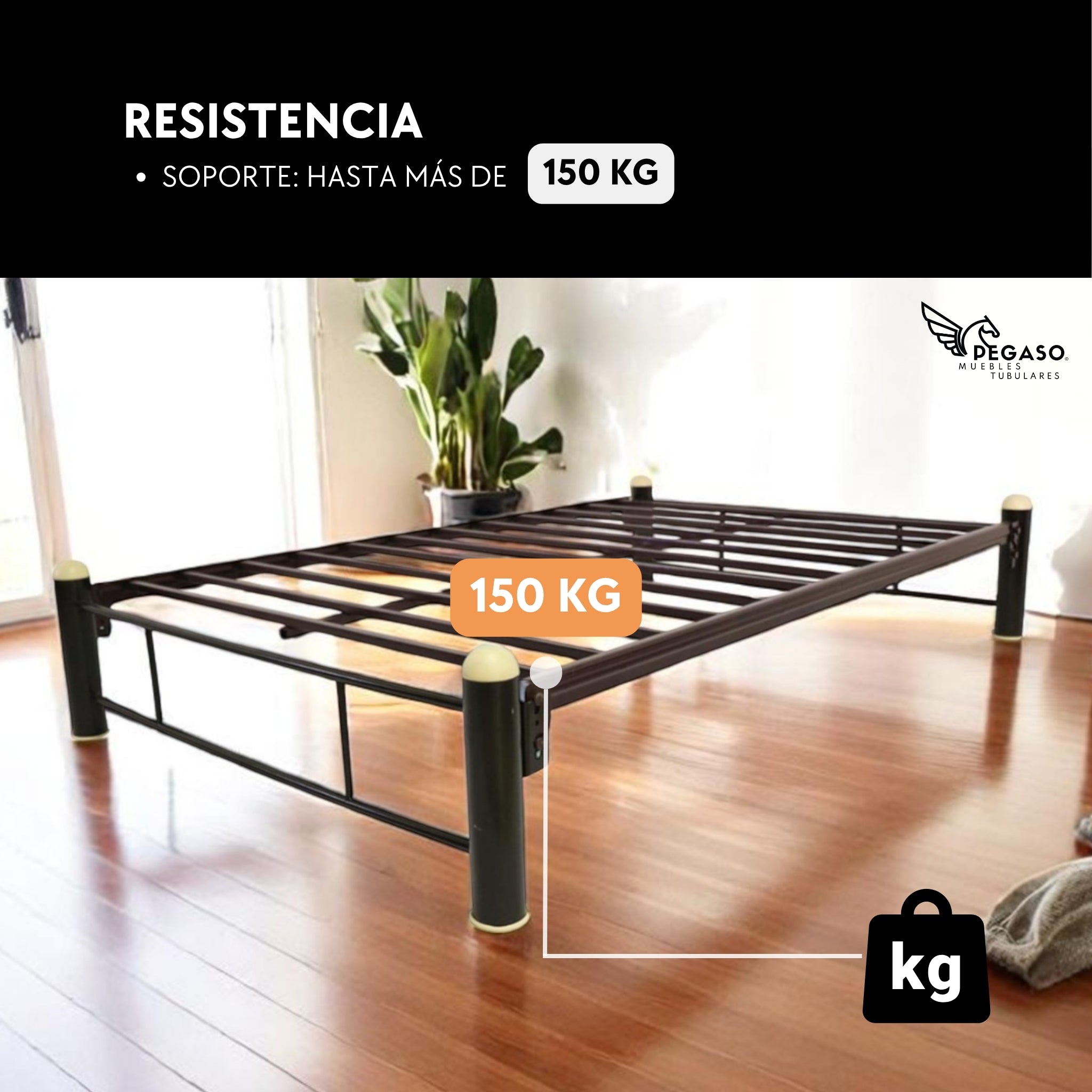 Base Matrimonial Pegaso – Practica