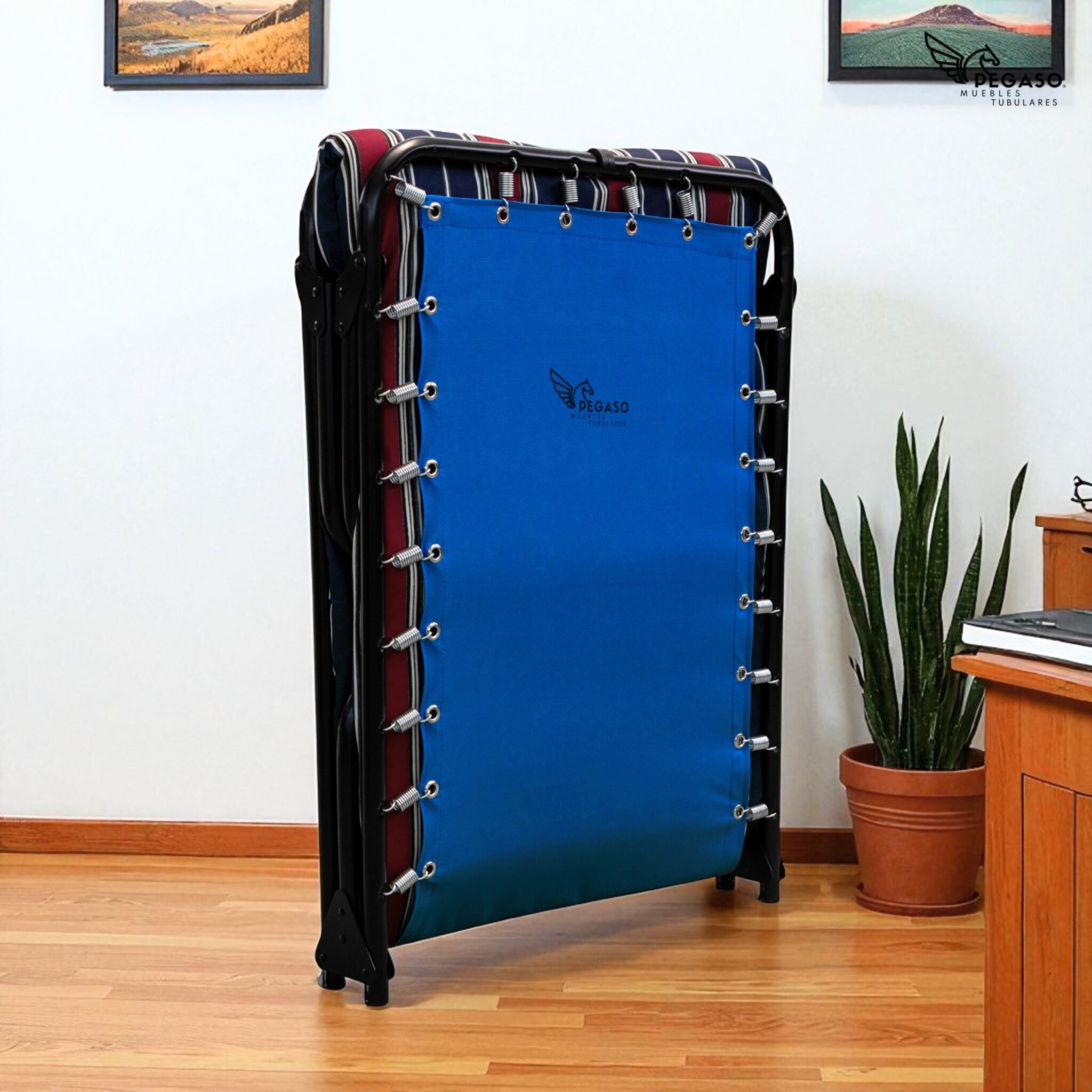 Folding Cot Bed / Reinforced Canvas + 3 cm Foam Mattress