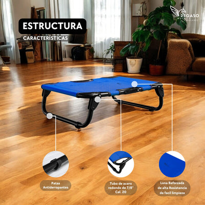 PEGASO KIT Cama/Catre + Colchoneta para Perro tamaño Chico, 63 x 46.5 x 18.5 cm (Mod KM-CH)