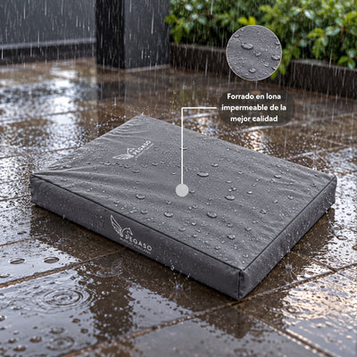 PEGASO Colchón para Mascota, Lona de Alta Resistencia, Impermeable, con cierre, 8 cm Grosor (CH, MD, GD, EG)