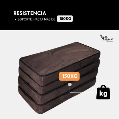 Colchón – Sofa Cama Futón / Matrimonial
