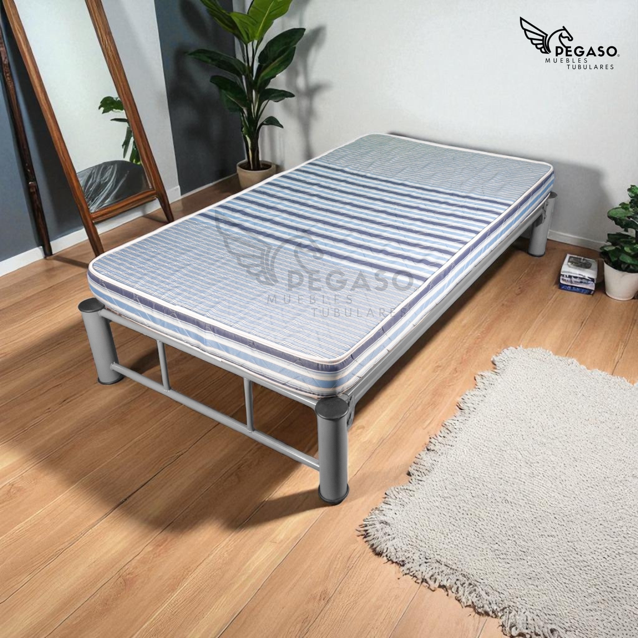 Base Individual Pegaso – Practica