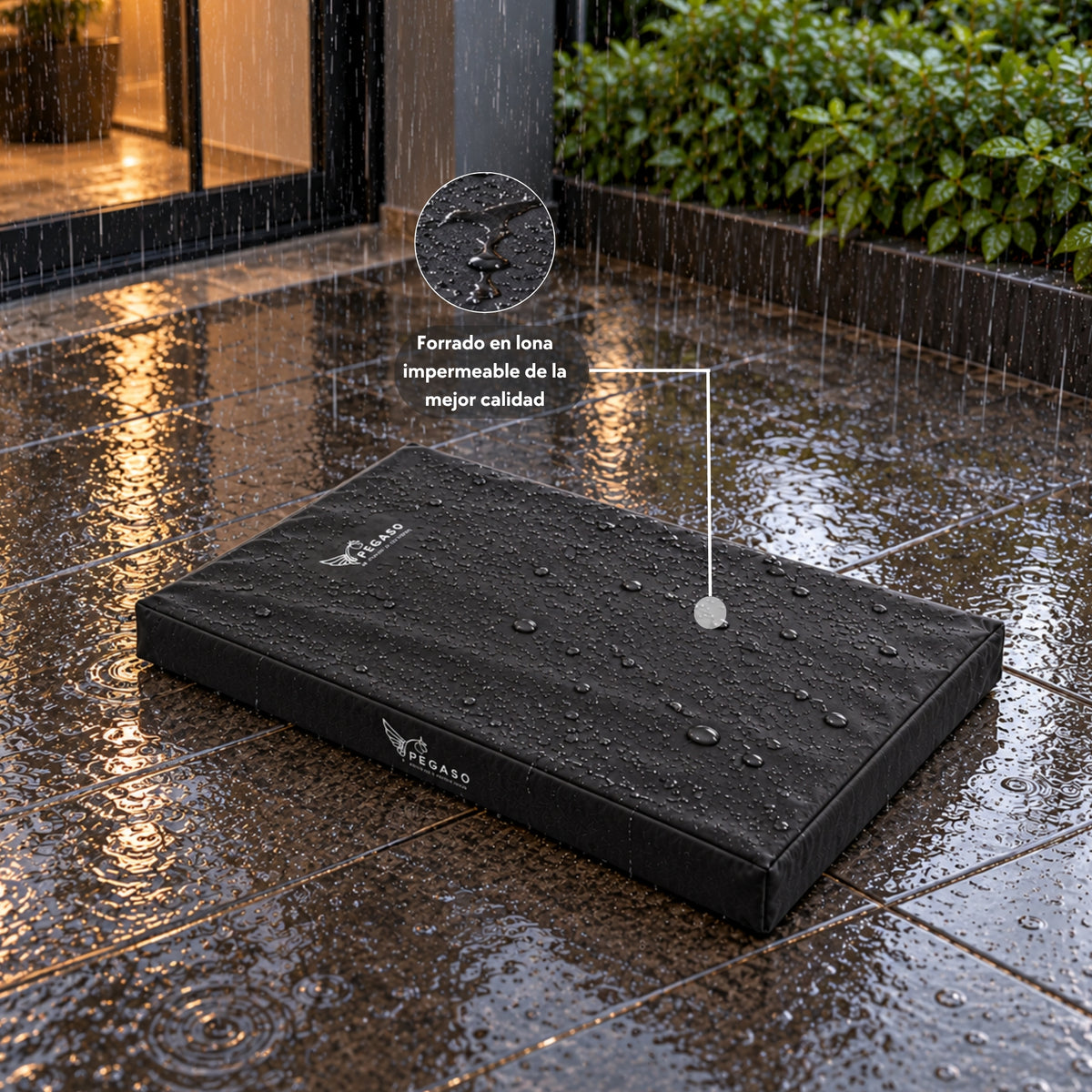 PEGASO Colchón para Mascota, Lona de Alta Resistencia, Impermeable, con cierre, 8 cm Grosor (CH, MD, GD, EG)