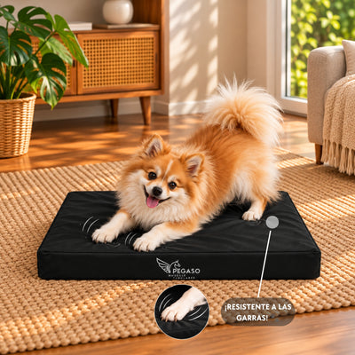 PEGASO Colchón para Mascota, Lona de Alta Resistencia, Impermeable, con cierre, 8 cm Grosor (CH, MD, GD, EG)