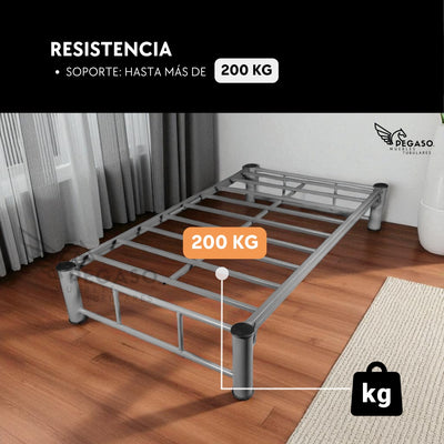 Base Individual Pegaso – Practica