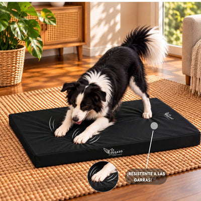 PEGASO Colchón para Mascota, Lona de Alta Resistencia, Impermeable, con cierre, 8 cm Grosor (CH, MD, GD, EG)