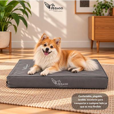 PEGASO Colchón para Mascota, Lona de Alta Resistencia, Impermeable, con cierre, 8 cm Grosor (CH, MD, GD, EG)