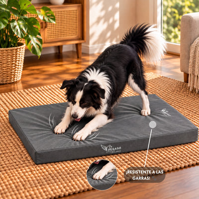 PEGASO Colchón para Mascota, Lona de Alta Resistencia, Impermeable, con cierre, 8 cm Grosor (CH, MD, GD, EG)