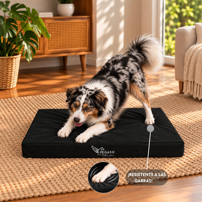 PEGASO Colchón para Mascota, Lona de Alta Resistencia, Impermeable, con cierre, 8 cm Grosor (CH, MD, GD, EG)