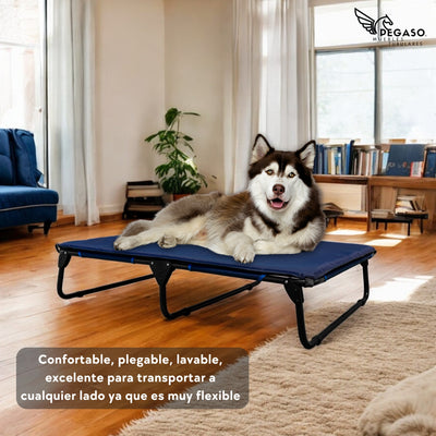 PEGASO KIT Cama/Catre + Colchoneta para Perro tamaño Extra Grande, 122x92x18 cm (Mod KM-EG)