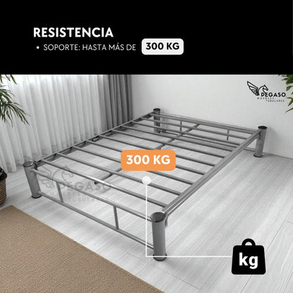 Base Matrimonial Pegaso – Practica