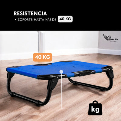 PEGASO Elevated Dog Bed for Small Dogs, 63x46x18.5 cm (Model KM-CH) 