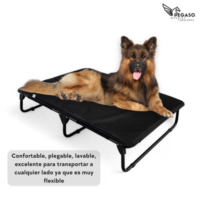 PEGASO KIT Cama/Catre + Colchoneta para Perro tamaño Extra Grande, 122x92x18 cm (Mod KM-EG)