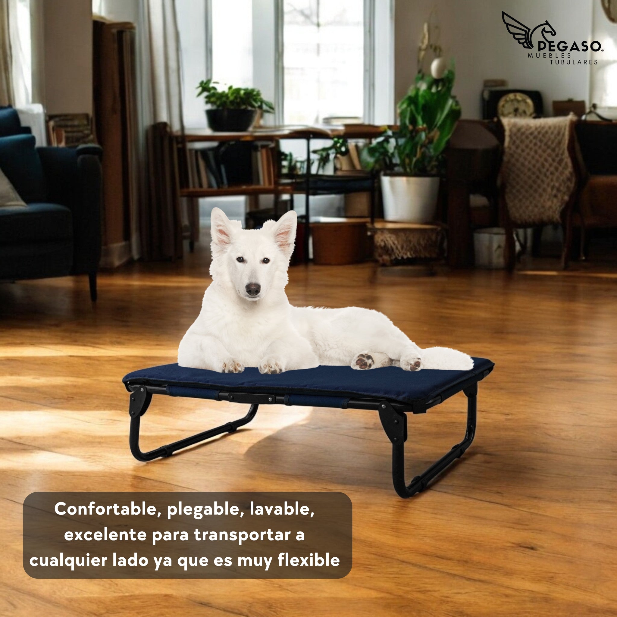 PEGASO KIT Cama/Catre + Colchoneta para Perro tamaño Mediano, 78 x 59 x 18 cm (Mod KM-MD)