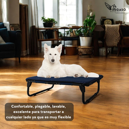 PEGASO KIT Cama/Catre + Colchoneta para Perro tamaño Mediano, 78 x 59 x 18 cm (Mod KM-MD)