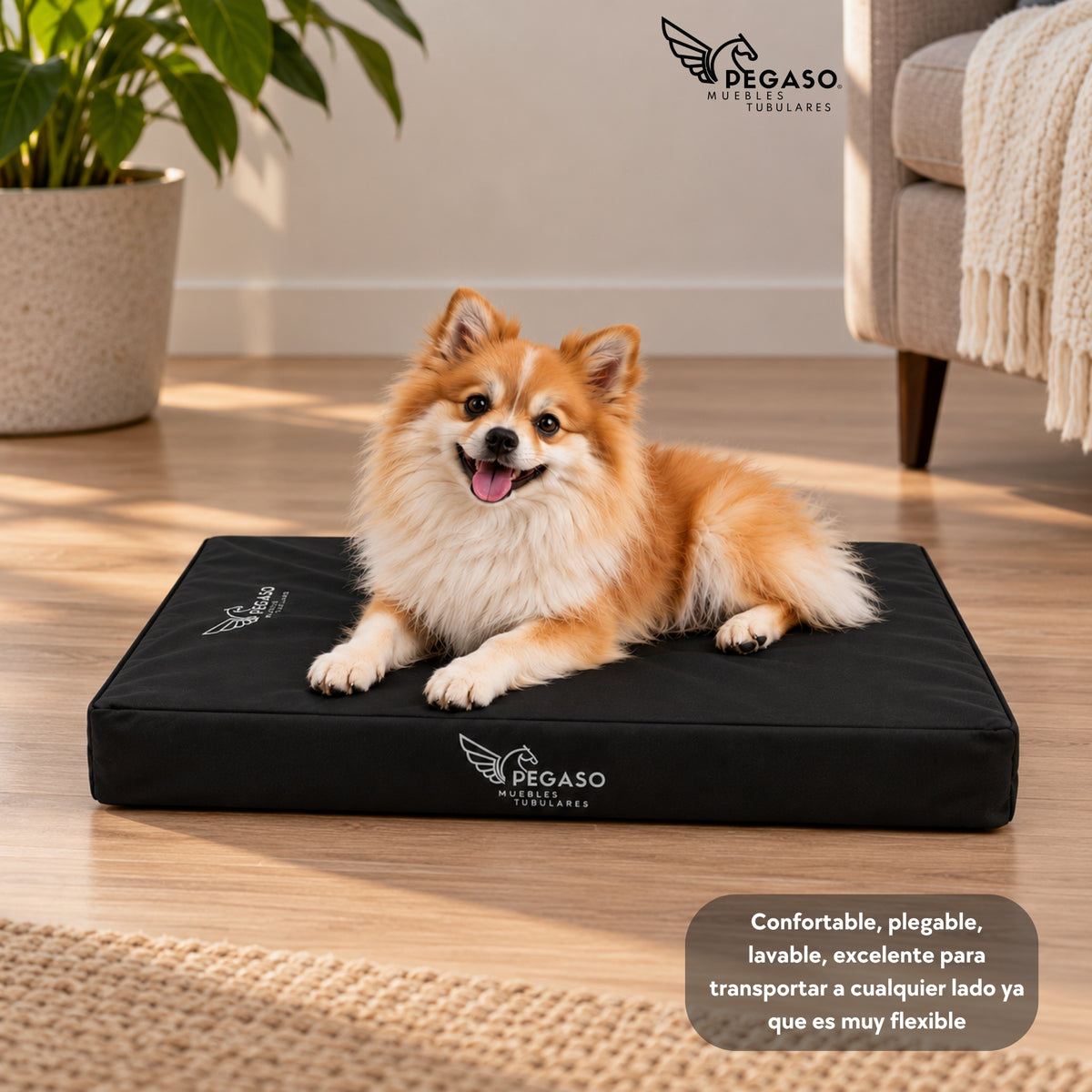 PEGASO Colchón para Mascota, Lona de Alta Resistencia, Impermeable, con cierre, 8 cm Grosor (CH, MD, GD, EG)