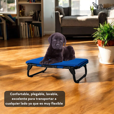 PEGASO KIT Cama/Catre + Colchoneta para Perro tamaño Chico, 63 x 46.5 x 18.5 cm (Mod KM-CH)