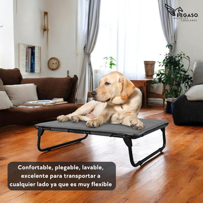 PEGASO KIT Bed/Cot + Large Dog Mat, 92.5 x 75 x 18 cm (Mod KM-GD)