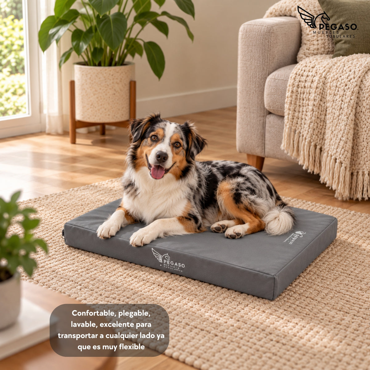 PEGASO Colchón para Mascota, Lona de Alta Resistencia, Impermeable, con cierre, 8 cm Grosor (CH, MD, GD, EG)