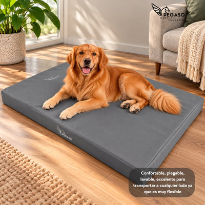 PEGASO Colchón para Mascota, Lona de Alta Resistencia, Impermeable, con cierre, 8 cm Grosor (CH, MD, GD, EG)