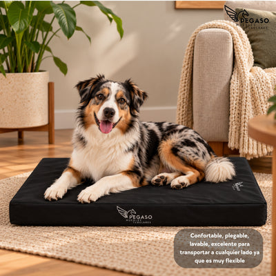 PEGASO Colchón para Mascota, Lona de Alta Resistencia, Impermeable, con cierre, 8 cm Grosor (CH, MD, GD, EG)