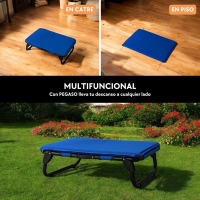PEGASO KIT Cama/Catre + Colchoneta para Perro tamaño Chico, 63 x 46.5 x 18.5 cm (Mod KM-CH)