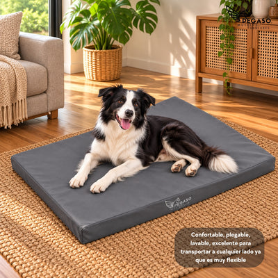 PEGASO Colchón para Mascota, Lona de Alta Resistencia, Impermeable, con cierre, 8 cm Grosor (CH, MD, GD, EG)