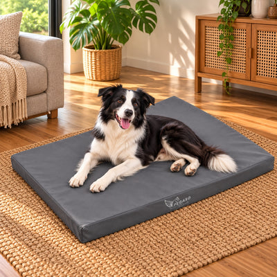 PEGASO Colchón para Mascota, Lona de Alta Resistencia, Impermeable, con cierre, 8 cm Grosor (CH, MD, GD, EG)