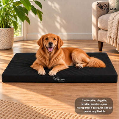 PEGASO Colchón para Mascota, Lona de Alta Resistencia, Impermeable, con cierre, 8 cm Grosor (CH, MD, GD, EG)