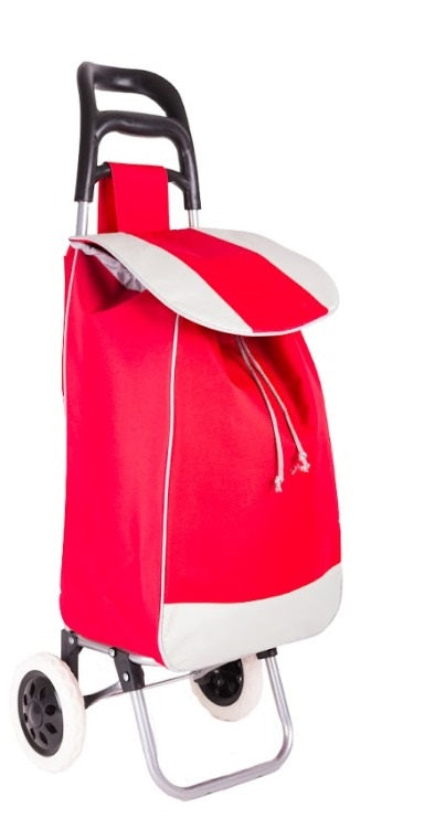 Folding Shopping Cart