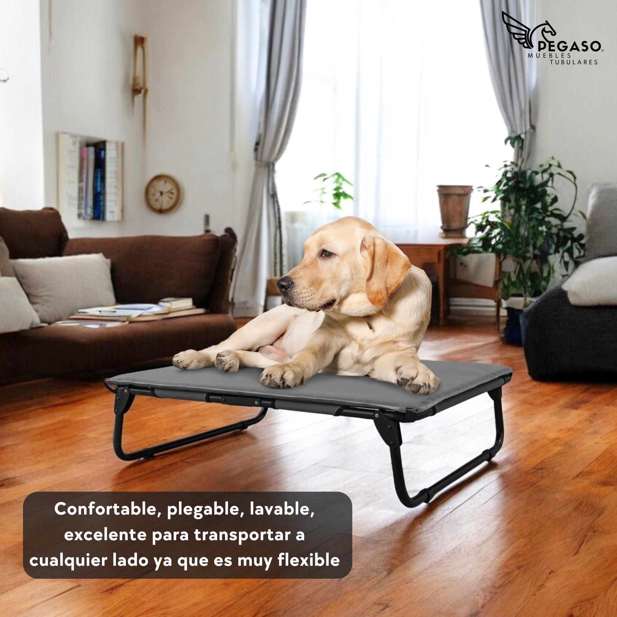 PEGASO KIT Cama/Catre + Colchoneta para Perro tamaño Grande, 92.5 x 75 x 18 cm (Mod KM-GD)