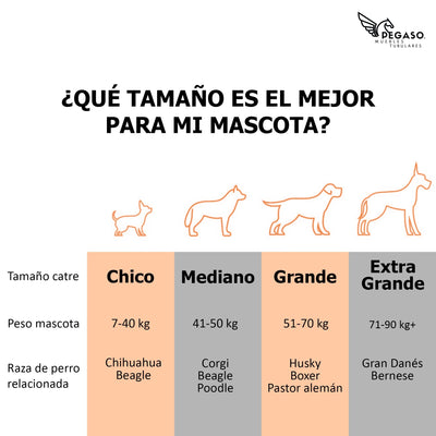 PEGASO KIT Cama/Catre + Colchoneta para Perro tamaño Extra Grande, 122x92x18 cm (Mod KM-EG)